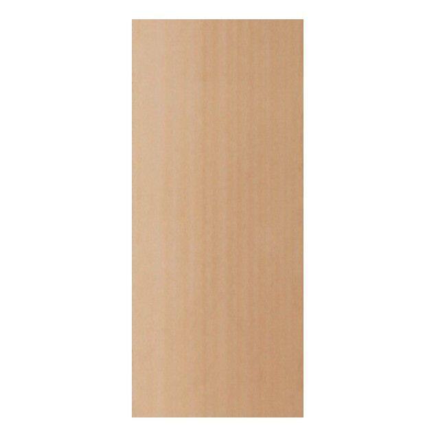 Flush Door